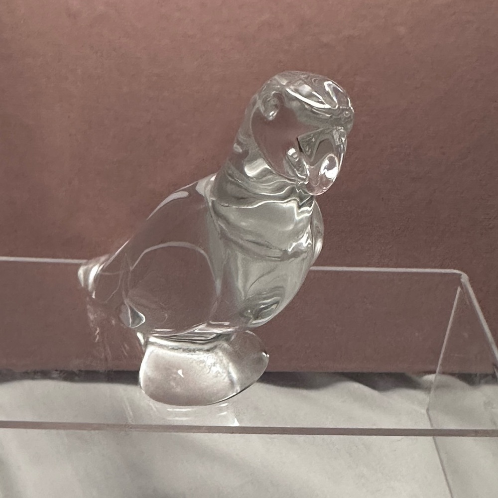 NWT Baccarat Crystal Parrot